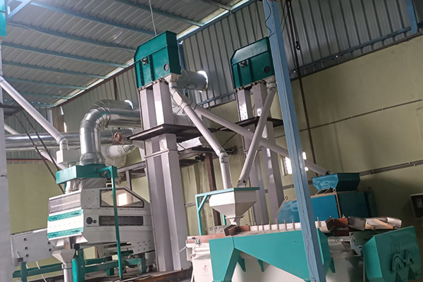 Sortex plant setup for seed and grain processing